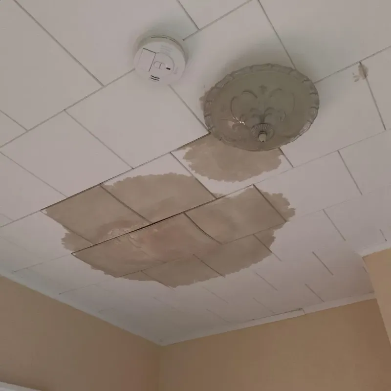 Ceiling Water Damage Repair in Mediapolis, IA