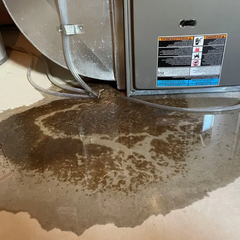 Pipe Burst and Leak Restoration in Mediapolis, IA